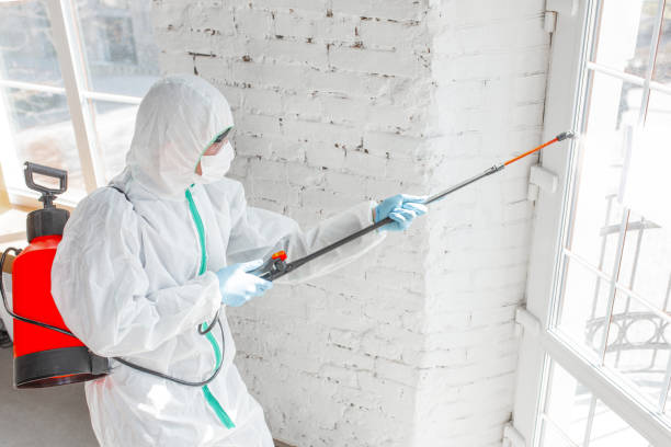 Best Mold Prevention Services  in Oskaloosa, IA